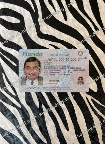 USA Florida driving license 2018-present photolook front